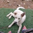 이순이농장 이미지