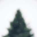 리플레이(REPLAY) 이미지