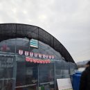 GS25양평양수리점 | 양평 두물머리, "꽃동산 딸기체험농장" 체험 후기