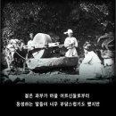 19세과부가 식모살이에서 숙명여자대학총장(임숙재 선생님 1891~1961)된 사연 새창으로 읽기 이미지