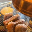 175 | 마산 양덕동 맛집 추천, 가성비 좋은 소고기집 175화로 솔직 후기