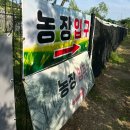 시흥승마힐링체험장 이미지