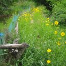 청석농장 이미지