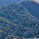 11650-16-20-6 | [6박 7일 일본 여행 일기 DAY2] 히로시마 미야지마 평화공원 타베로그 1위 돈카츠16