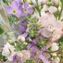 종로구립 박노수미술관 이미지