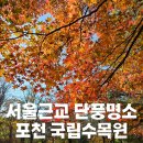 (주)포천교통 | [경기도/포천]서울근교 단풍명소 포천 국립수목원 방문후기(주차예약/주변주차장/내부안내/단풍)