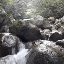 원앙캠핑장 이미지