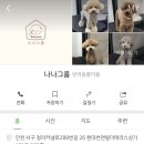 나나그룸 이미지