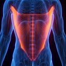 해머하우스 이미지