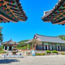 신원사2 | 개태사 오층석탑 &amp; 공주 계룡산 중악단 · 신원사 대웅전 · 신원사 오층석탑