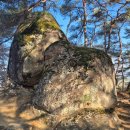 영월지오뮤지엄 | 영월 지질답사