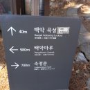 곡성-037 이미지