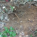 소룡농장 이미지