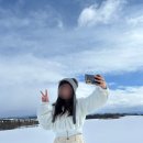 [삿포로] 마이리얼트립 여행 한 그릇 후기 (with 일본 현지인) 비에이 투어 추천 | 할인 방법