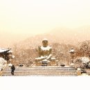 다향방 이미지