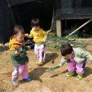 준영농장 이미지