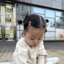 가나몬테소리 | 10월 주간일기 4. 밖으로 밖으로