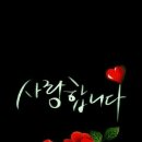 파아란 Daum카페