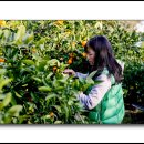 정환농장 이미지