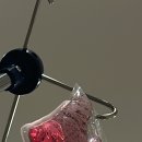 CNC 운동재활ㆍ피트니스 센터 이미지