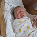 라온약국 | 대전 라온산부인과 박종식 교수님 제왕절개 4박5일 및 1인실 입원 후기