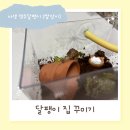 방달팽이 연구소 | 야생 명주달팽이 집 꾸미기 후기 (방달팽이연구소 구매)
