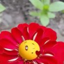 양현로310번길 이미지