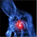 여주-0892 | [뉴질랜드 워홀]🇳🇿+251~256 고멧블루베리 합격/생딸기 아이스크림/하늘숲 한의원/조마루 감자탕/공차...