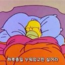 송고집왕족발 이미지