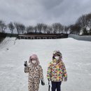 모둘자리 | 아이와 함께한 홍천 1박 2일 여행_장점도 단점도 솔직하게 적는 홍천 모둘자리 후기