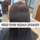 고도헤어 | 서창동 헤어샵 살롱고도 톤다운 염색 솔직 후기
