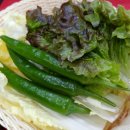 박경규항아리보쌈 이미지