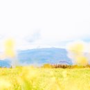 ㈜제주엔젤렌트카 | 아이랑 제주도 가족여행 갈 땐 제주엔젤렌트카! 그랜저 22년형 카시트 렌트 후기