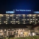 동백로 67 | 부산 웨스틴 조선 이그제큐티브 객실 후기｜라운지 조식·해피아워 솔직 리뷰