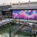 전주 햄스터 | 전주 이색 카페 아쿠아 주주 방문 후기⭐️