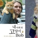 '내 어깨 위 고양이, 밥' 주인공 고양이 밥, 하늘나라로 이미지