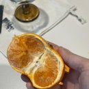카티지피자 이미지
