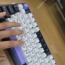 F108 | 독거미 AULA f108 pro 6개월 사용 후기