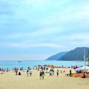 키즈 엔 팜 | 중국 하이난 싼야 리조트 추천 | 숙소 가격 위치 비교 예약 꿀팁