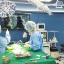 칠곡종합동물병원 이미지