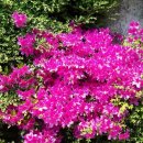 석노래연습장 이미지