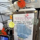 더프라이빗 함덕 | 제주가볼만한곳 이색데이트 오션뷰 제주족욕카페 함덕점 내돈내산 후기
