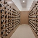 소노펠리체 델피노 이미지