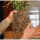 백제인동마을 이미지