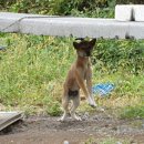 도식농장 이미지