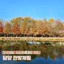 5134 | 담양 관방제림 방문기, 낙우송 가을 단풍 명소 여행 후기