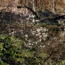 일운초등학교구조라분교장 이미지