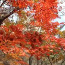 한국방송통신대 학사 2개의 자격증을 따면서 ( 1) 이미지