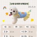 늘멍 네이버블로그