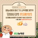 (주)아크로디아코리아 | &lt;최고농약사&gt;마늘 잎이 마르기 시작했다면?! 잎마름병 방제 방법과 함께 쓰면 효과 좋은 영양제 조합...